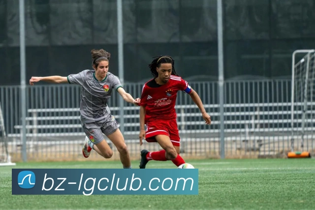 老哥俱乐部官网发展历程